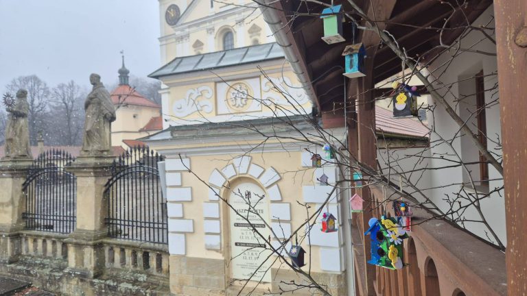 Powstały DOMKI NA DRZEWIE